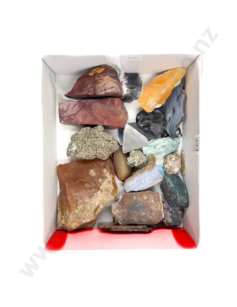 Mixed Mineral Rock Specimens Image 1++