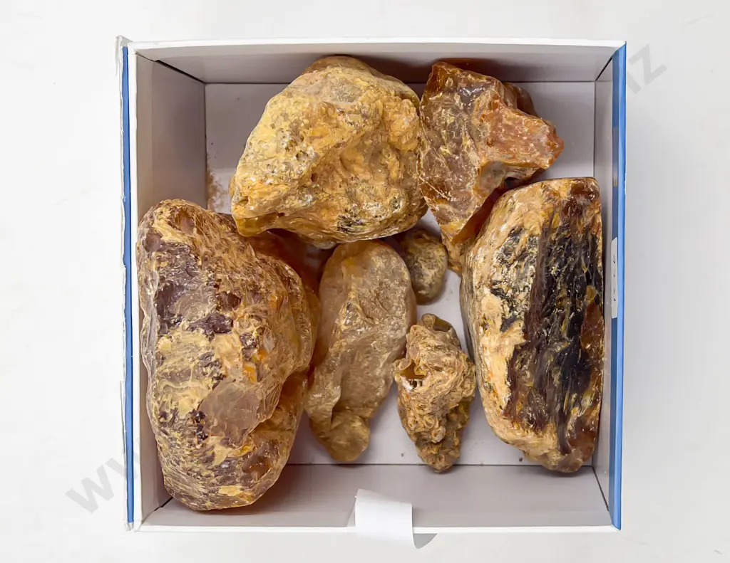 Assorted Kauri Gum etc Image 1++