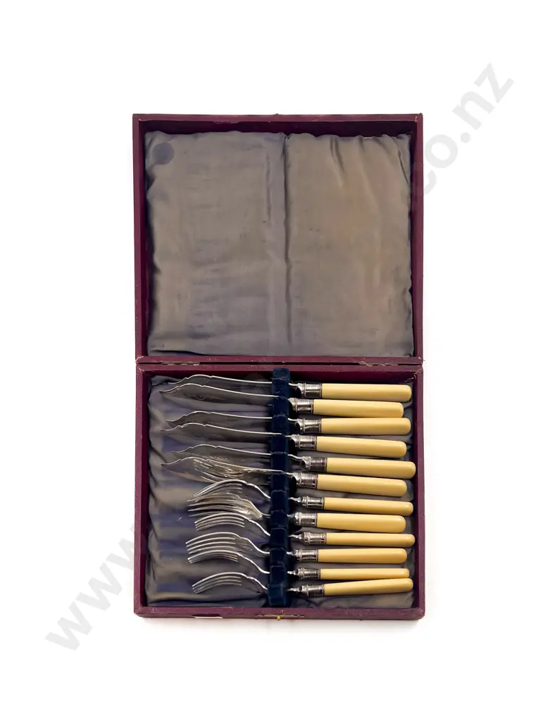 Boxed Bone Handled Fish Service Image 1++