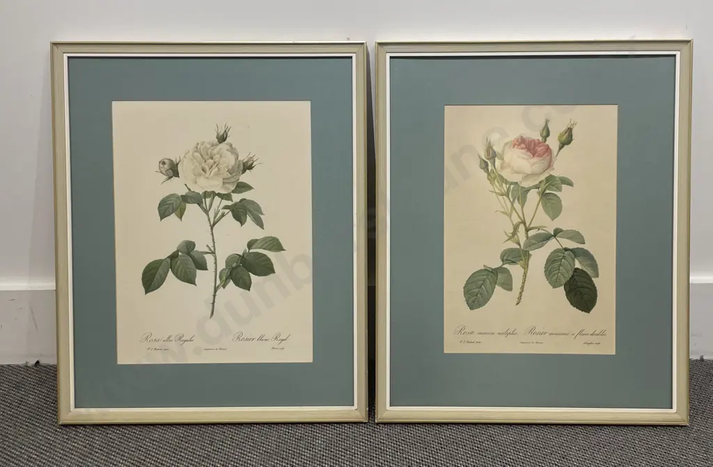 Five Assorted Botanical Study Prints Image 1++
