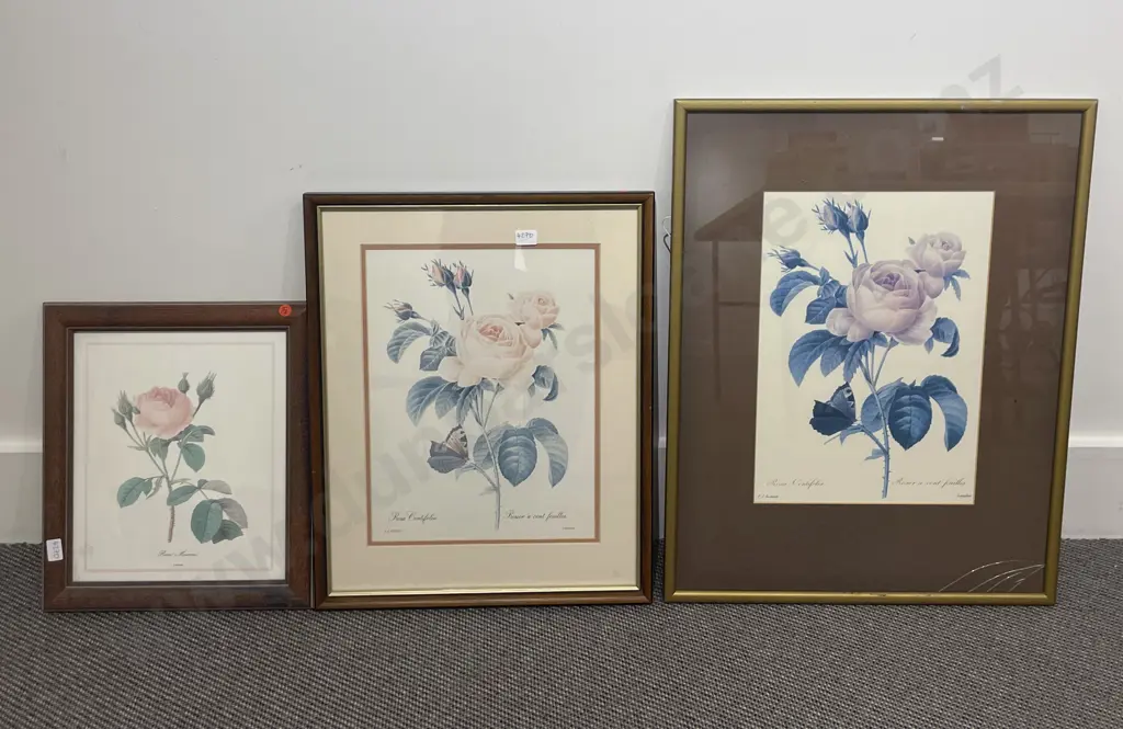 Five Assorted Botanical Study Prints Image 1++
