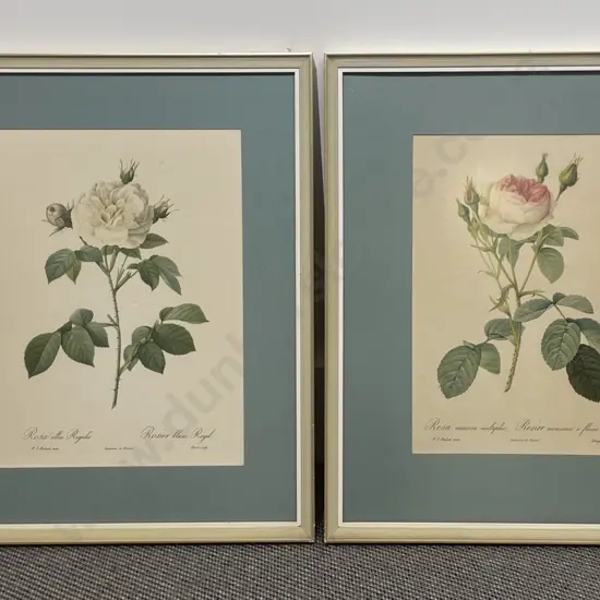 Five Assorted Botanical Study Prints