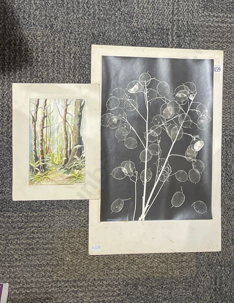 D.A Clent Watercolour together with Other Image 1++
