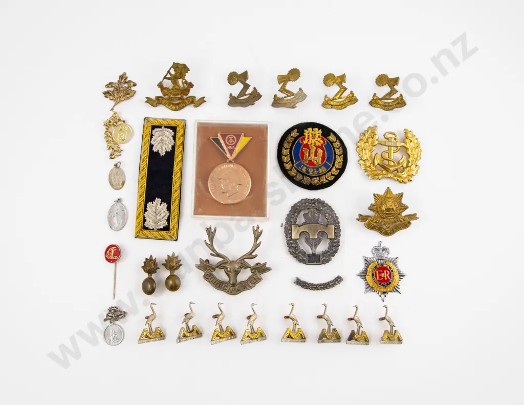 Collection NZ Military Metal Badges with Foreign Assorted Image 1++