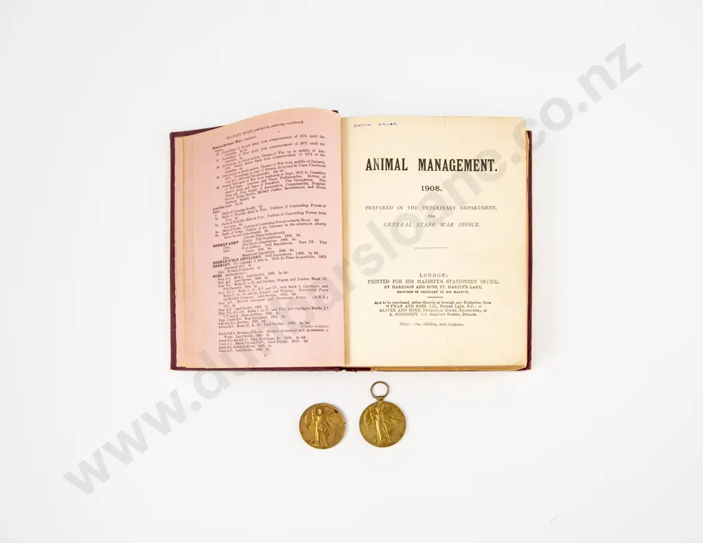 WWI NZ Victory Medal Image 1++