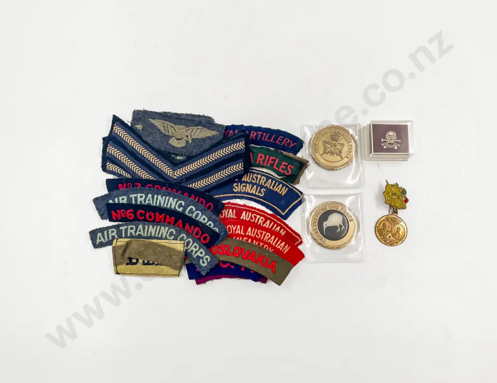 17th Lancers Badge Image 1++