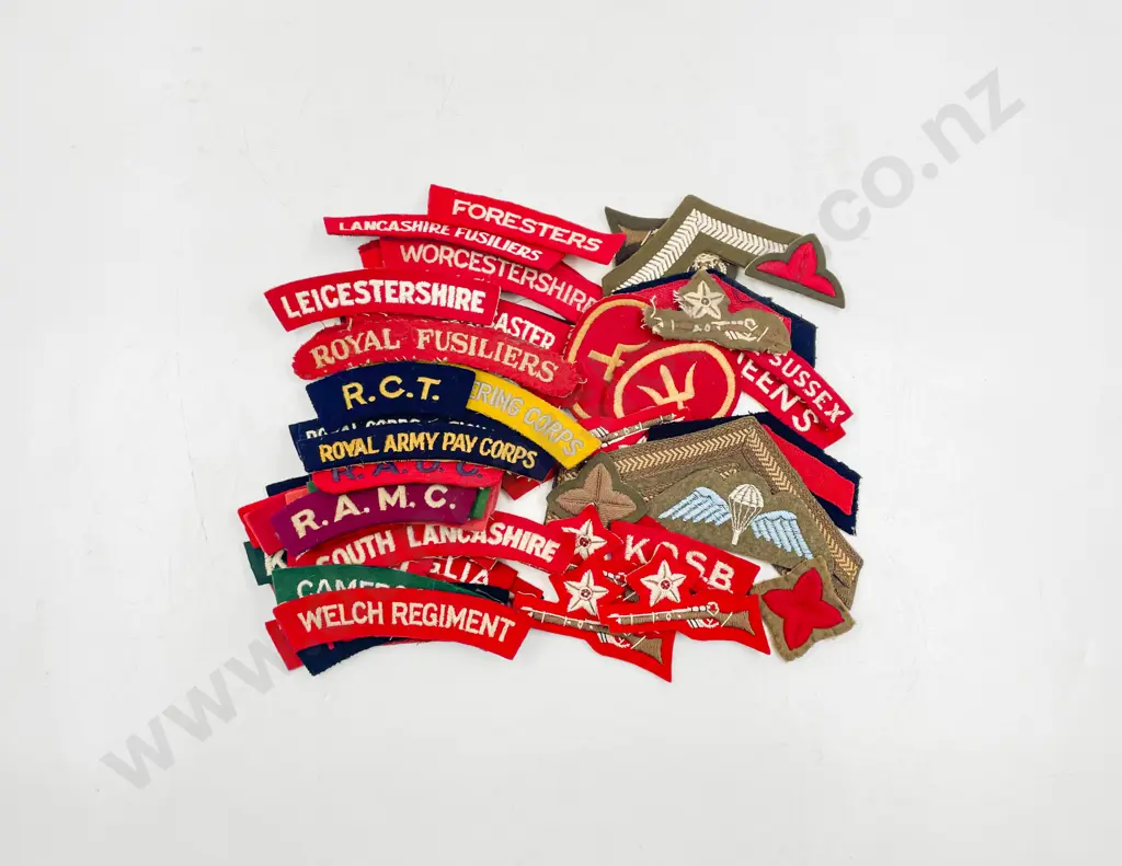 Collection Mainly British Regiment Cloth Shoulder Badges (62) Image 1++