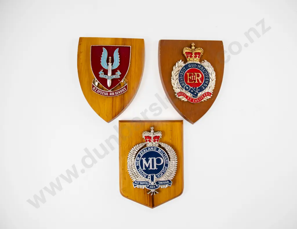 Collection Six Regiment Wall Hanging Shields and Three Handcrafted Shields Image 1++