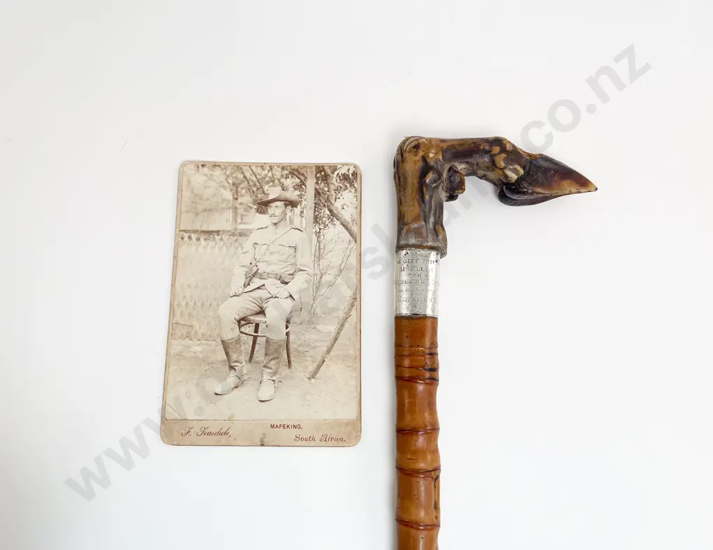 Presentation Boer War Walking Cane with African Antelope Hoof and S/S Collar Image 1++
