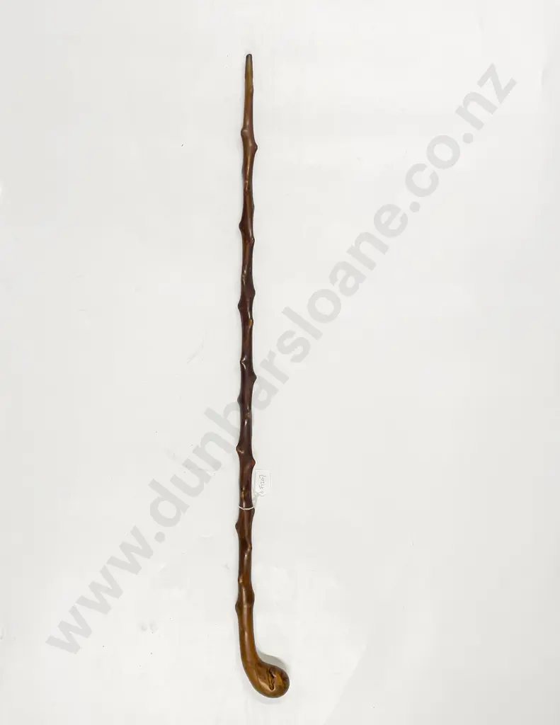 Briarwood Walking Cane Image 1++