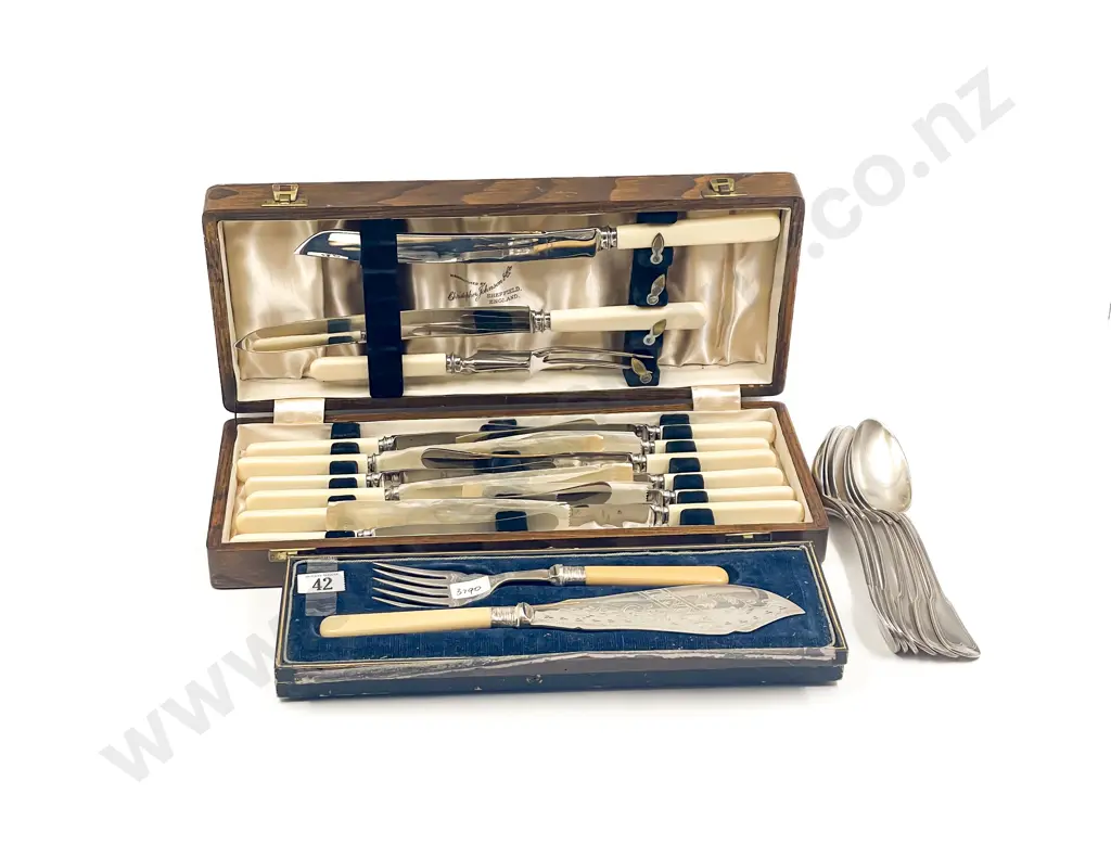 Cased Fish Servers Image 1++