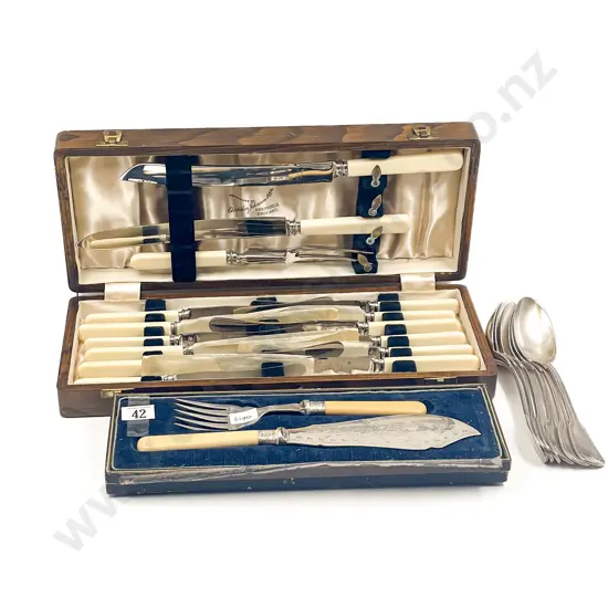 Cased Fish Servers