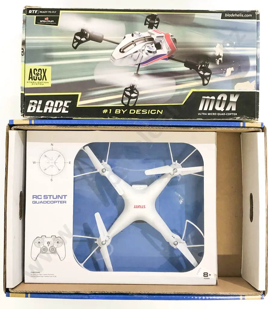 Two Remote Control Fliers Image 1++