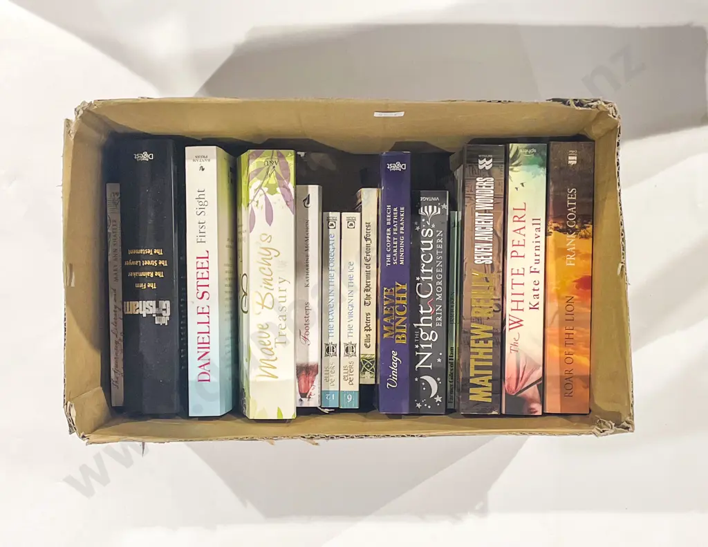Box of Assorted Modern Novels Image 1++
