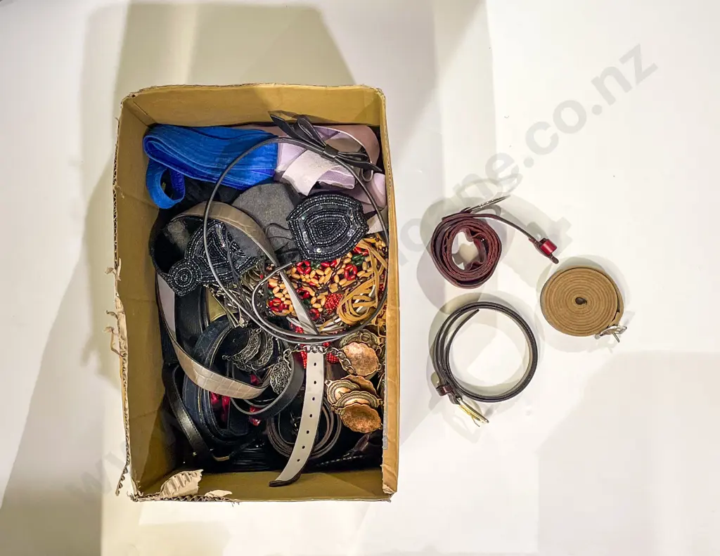 Assorted Ladies Belts Image 1++