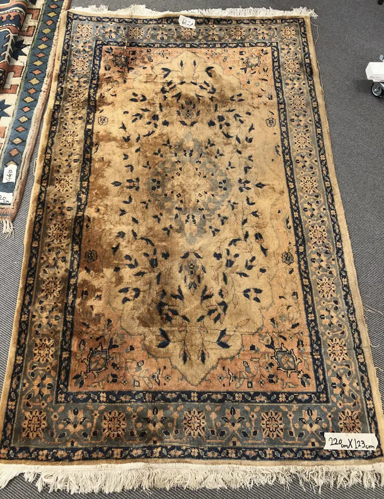 Persian Style Rug Image 1++