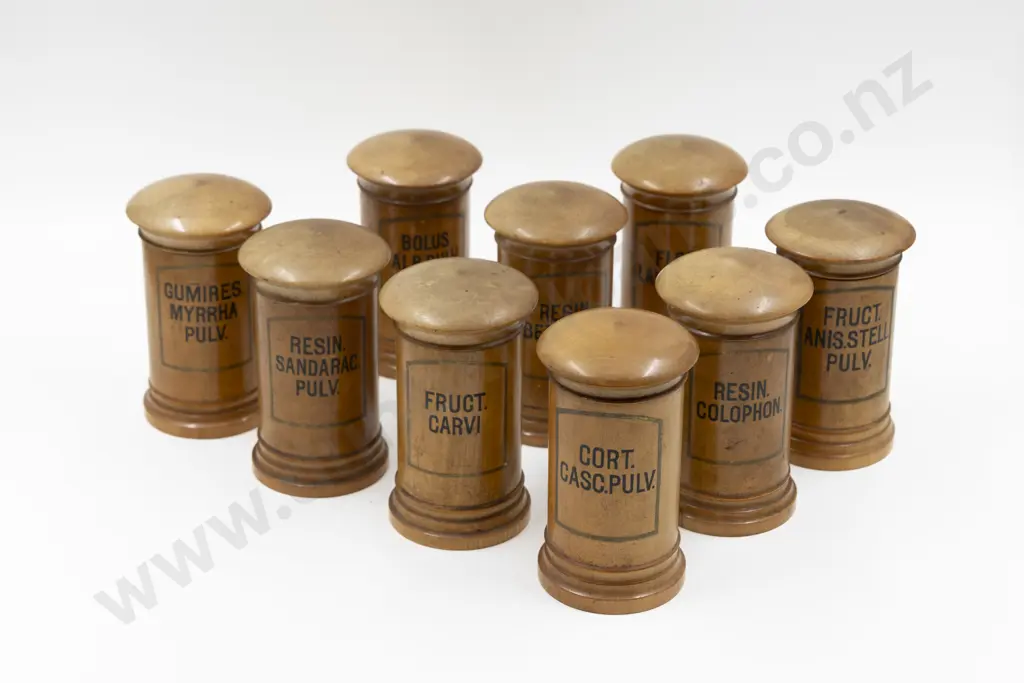 Nine Early Victorian Chemist's Treen Storage Jars Image 1++