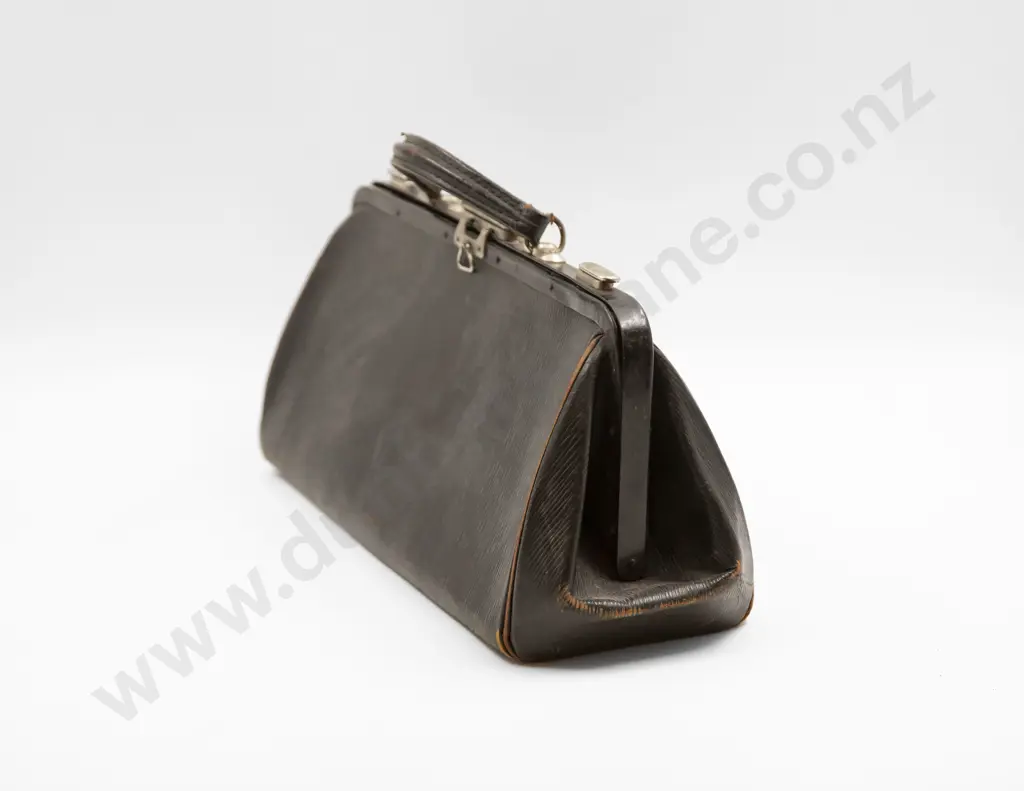 Vintage Gladstone Type Bag and Walking Cane Image 1++