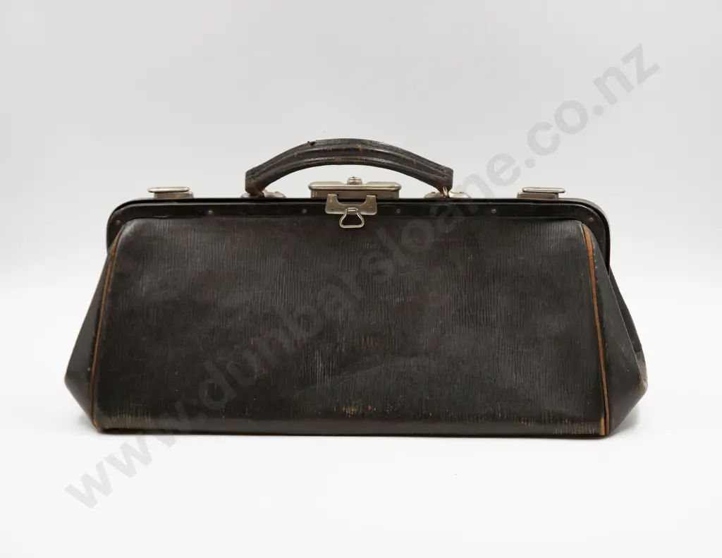 Vintage Gladstone Type Bag and Walking Cane Image 1++