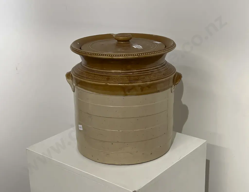 Large Stoneware Lidded Croc Image 1++