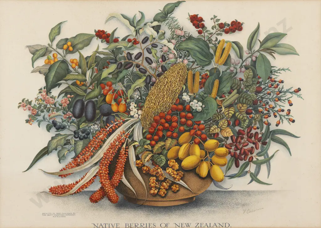 NZ Polychrome Lithograph Image 1++