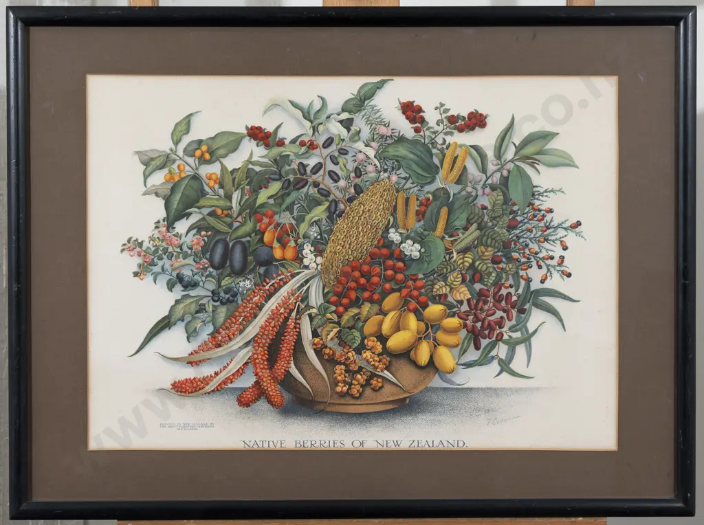 NZ Polychrome Lithograph Image 1++