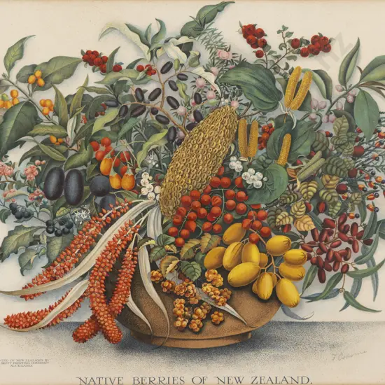 NZ Polychrome Lithograph