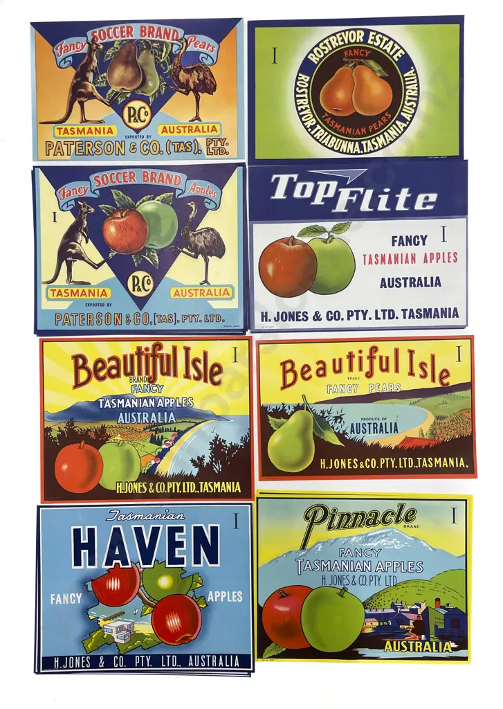 Fifteen Assorted Vintage Tasmanian Fruit Box Labels Image 1++