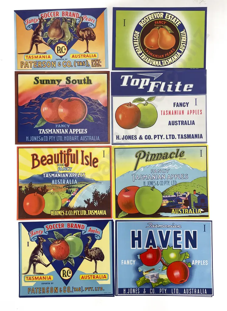 Fifteen Assorted Vintage Tasmanian Fruit Box Labels Image 1++