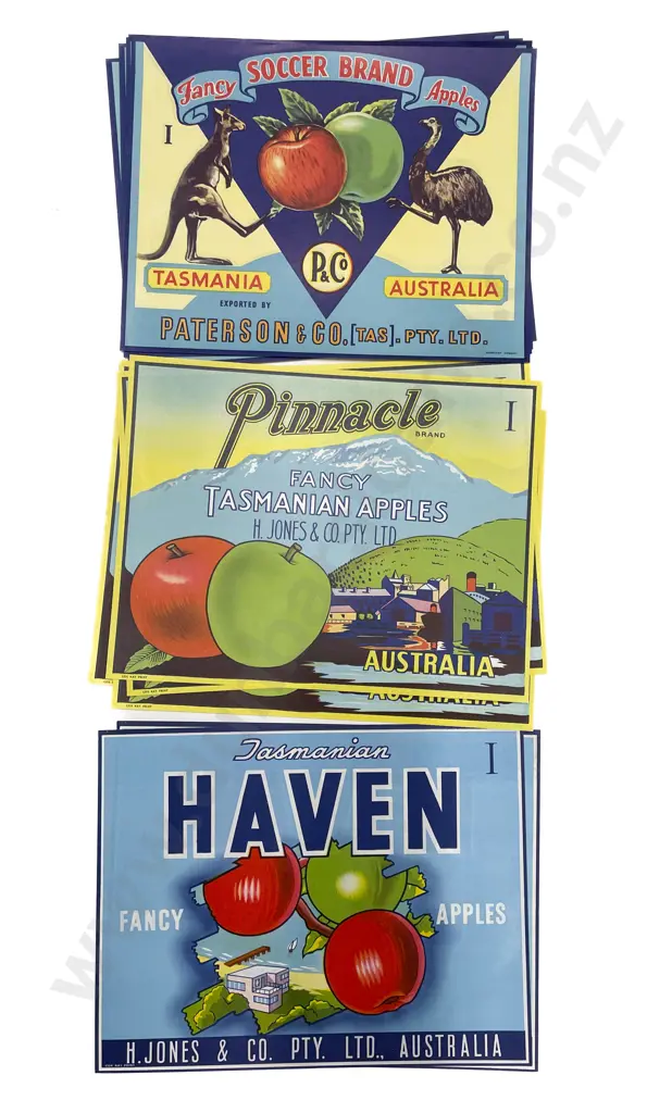 Twelve Assorted Vintage Tasmanian Fruit Box Labels Image 1++