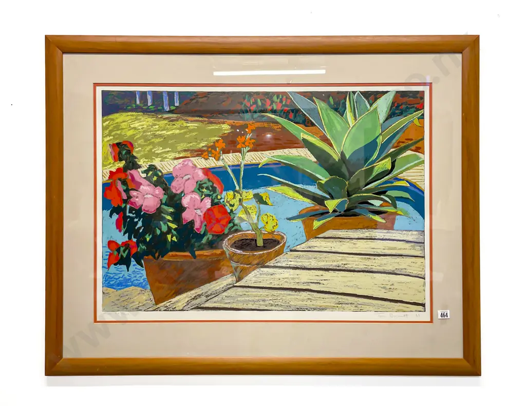 Tom Burnett - Pot Plants Image 1++