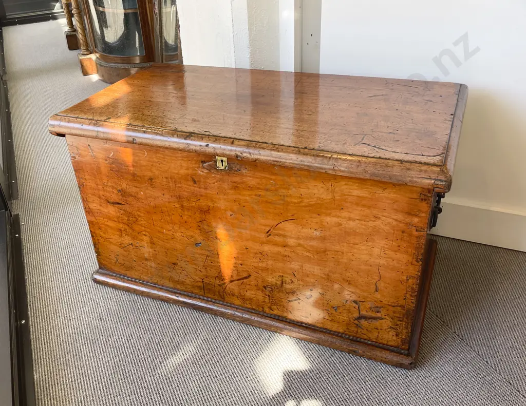 Good Quality C19th Camphorwood Sea Chest Image 1++