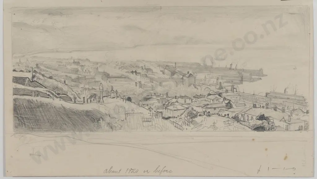 Harry Linley Richardson (1878 - 1947) - About 1920 Or Before [Wellington] Image 1++