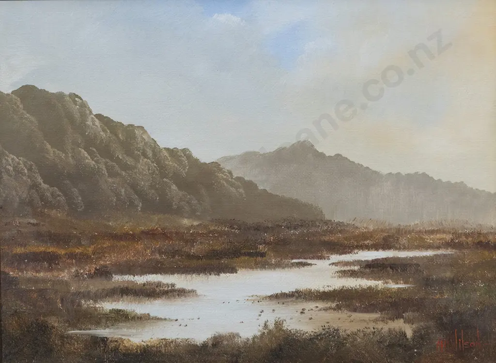 A H Wilson  - Pohongina Valley Image 1++