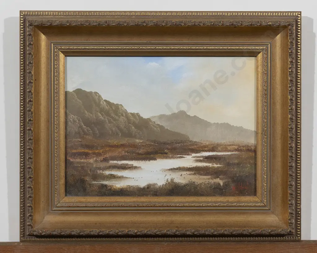 A H Wilson  - Pohongina Valley Image 1++