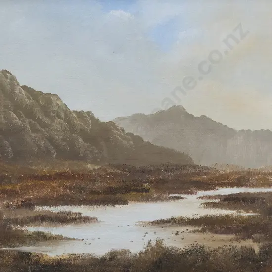 A H Wilson  - Pohongina Valley