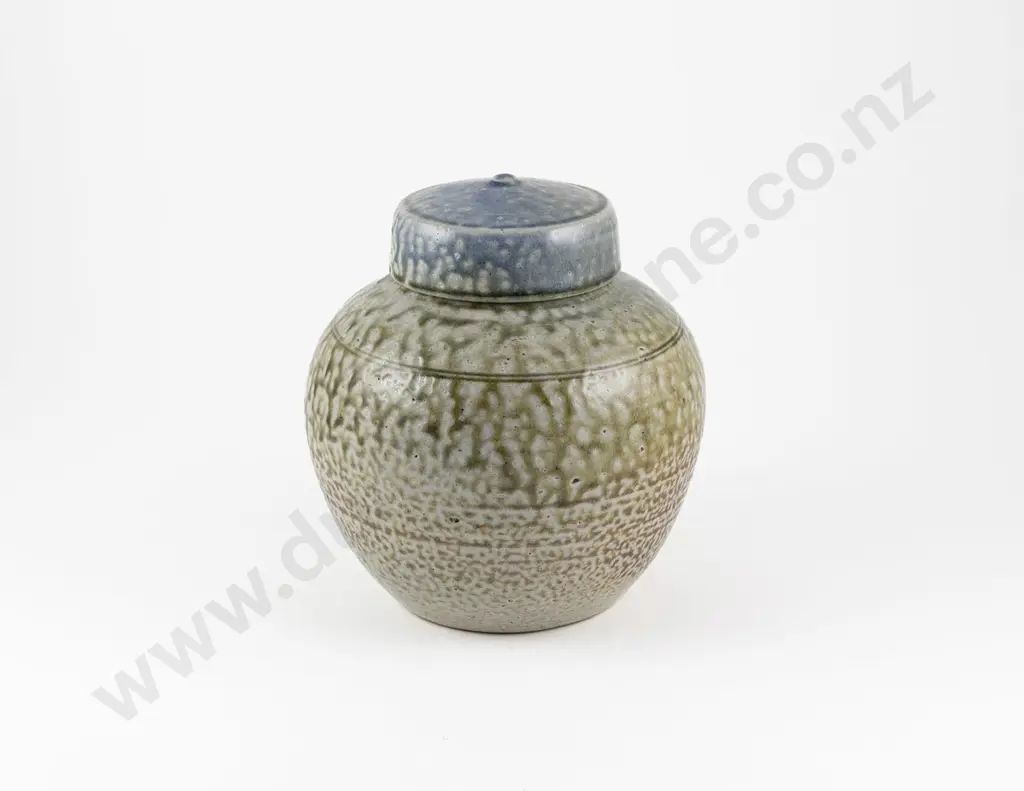 Andrew Van Der Putten Lidded Ginger Jar Image 1++