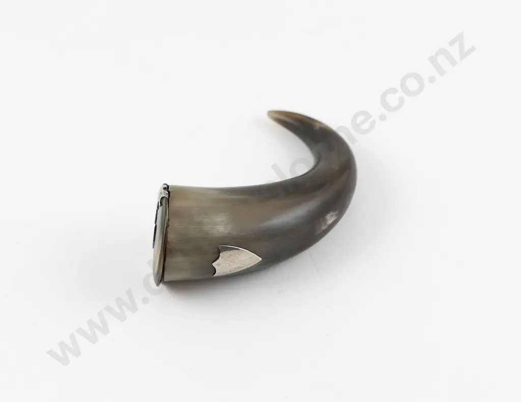 A Victorian Scottish Horn Snuff Mull Image 1++