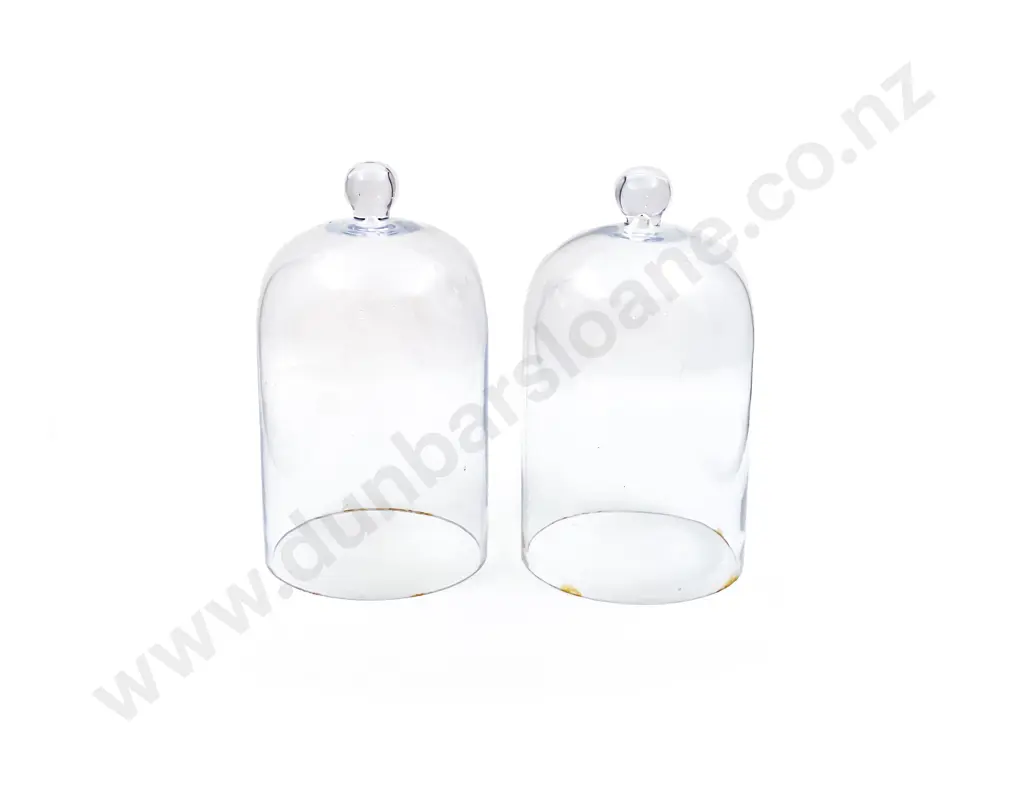 Two Glass Domes Image 1++