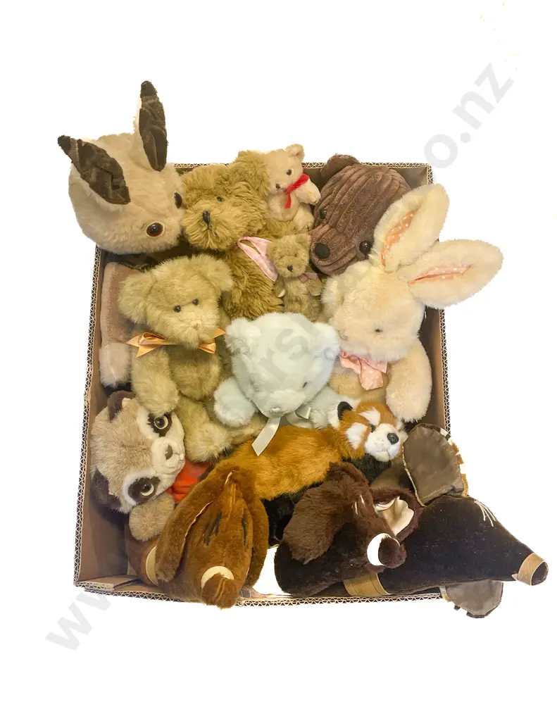 Box of Assorted Soft Toys Image 1++