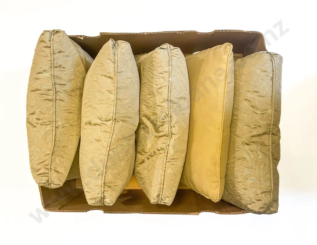 Qty of Assorted Cushions etc. Image 1++