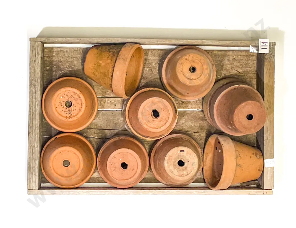 Qty of Assorted Small Terracotta Garden Pots Image 1++