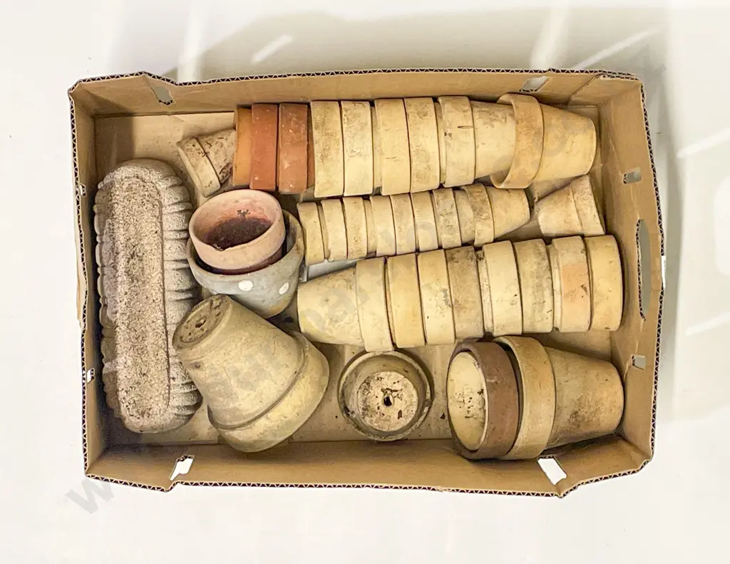 Qty of Assorted Small Garden Pots Image 1++