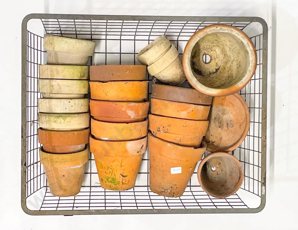 Two Trays of Assorted Garden Pots Image 1++