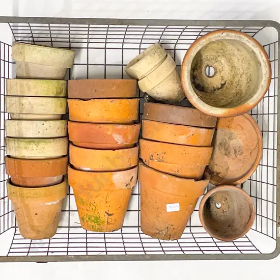Two Trays of Assorted Garden Pots