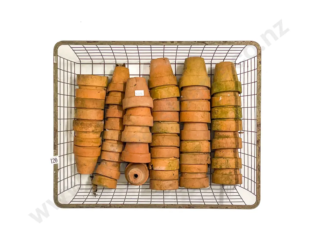 Qty of Assorted Small Garden Pots Image 1++
