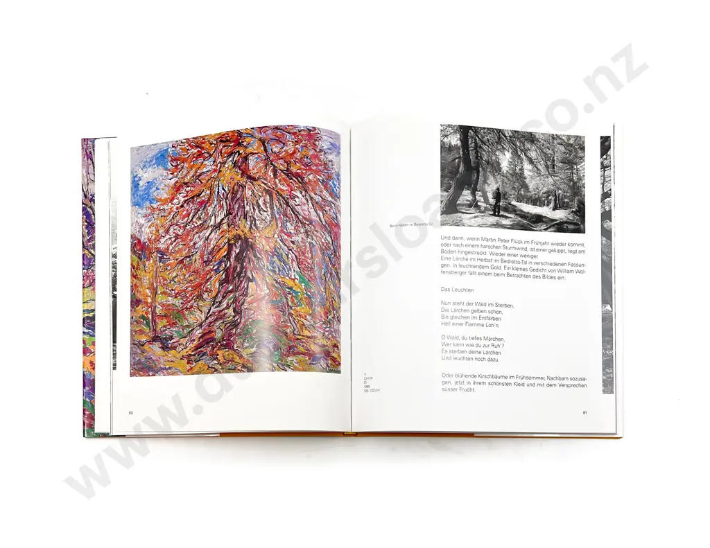 Martin Peter Fluck Art Reference Book - signed by artist Image 1++