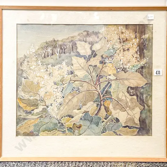S Gibbs - Rangiora