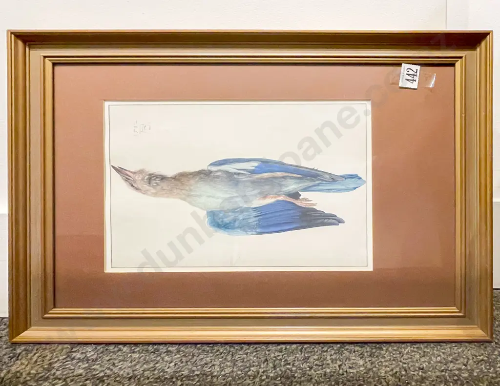 Two Ornithological Prints Image 1++