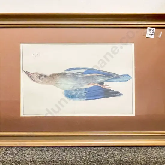 Two Ornithological Prints